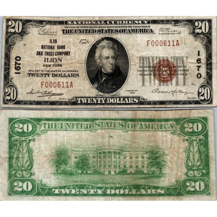20 Dollars National Bank - ILION - New York - Serie 1929 - E000611A