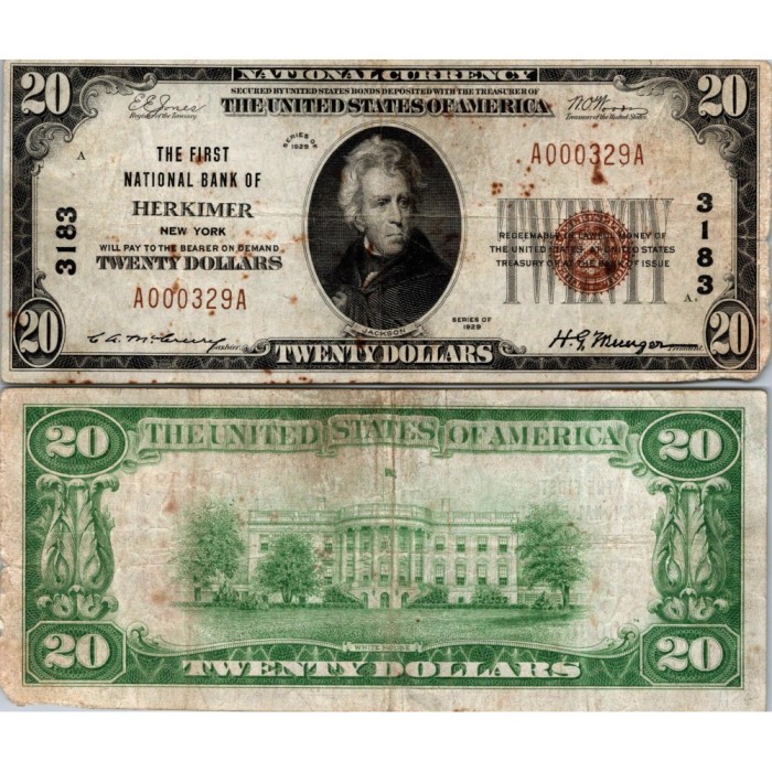 20 Dollars National Bank - HERKIMER - New York - Serie 1929 - A000329A