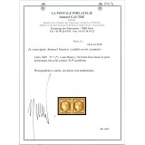 YT 1 - Neuf (x) Paire - Certificat VO 20/9
