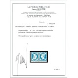 YT 22 - Neuf x - Tête Bêche - Certificat VO 22/172 - Cote 6000 Euros