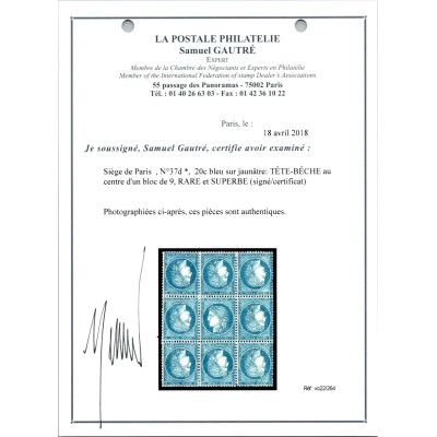 YT 37 - Neuf x - Tête Bêche - Certificat 83/183 - VO 22/264 - Cote 7000 Euros