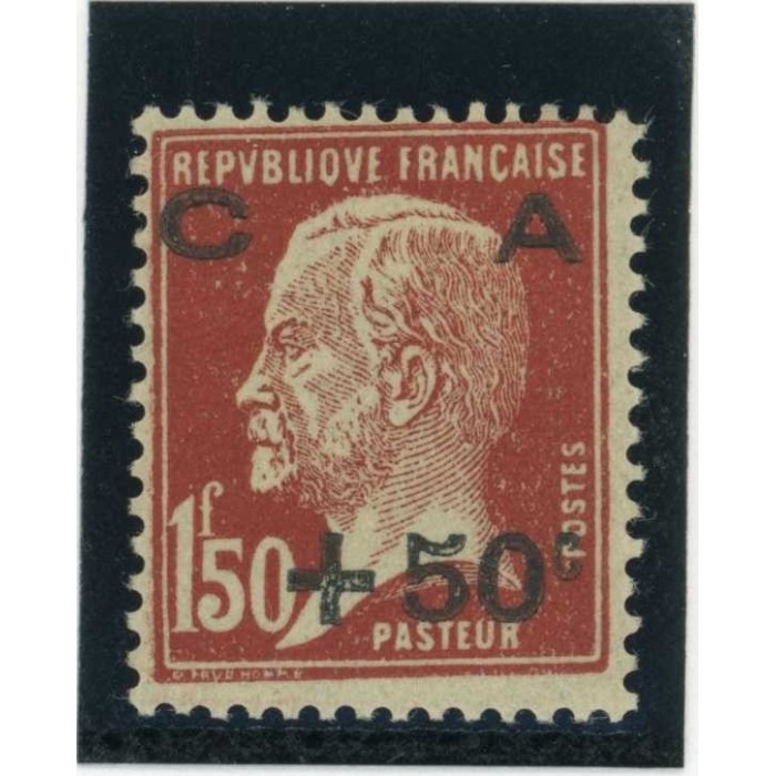 YT 255 - Neuf x - Cote 65 Euros