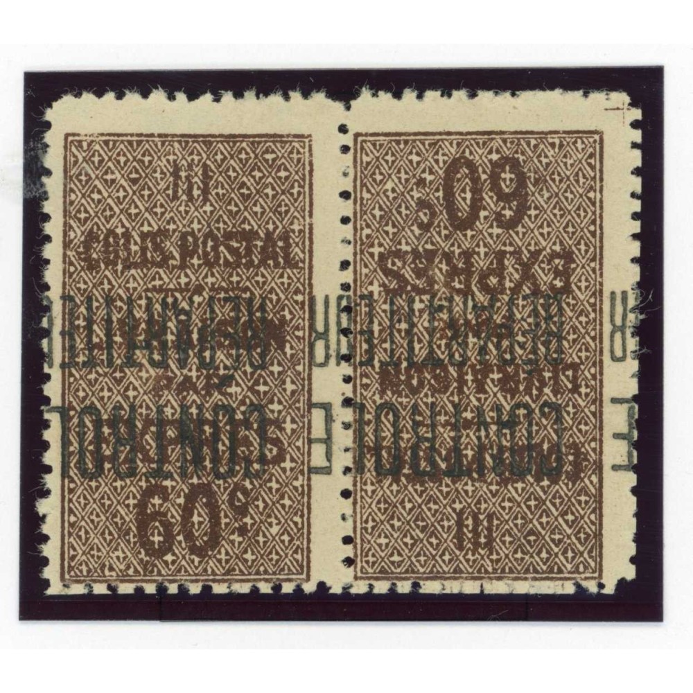 Algérie - Colis Postaux - YT 9b - Neuf x - Cote 100 Euros