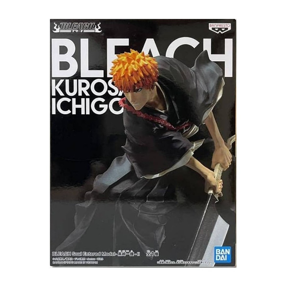 Bleach soul entered model 1 kurosaki ichigo