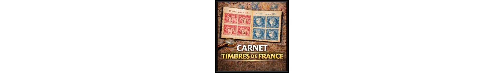 CARNETS DE FRANCE